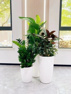 专业绿化养护,宁波海曙这家公司实力超赞!